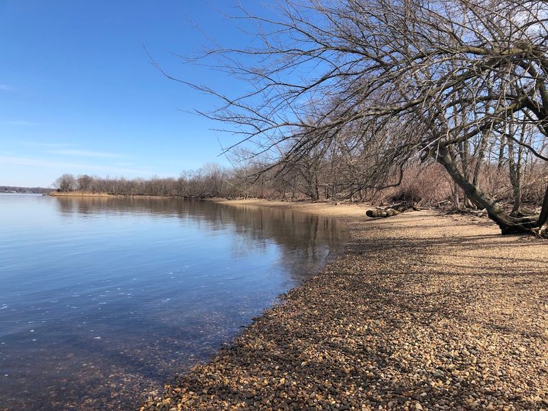 Amico Island Park