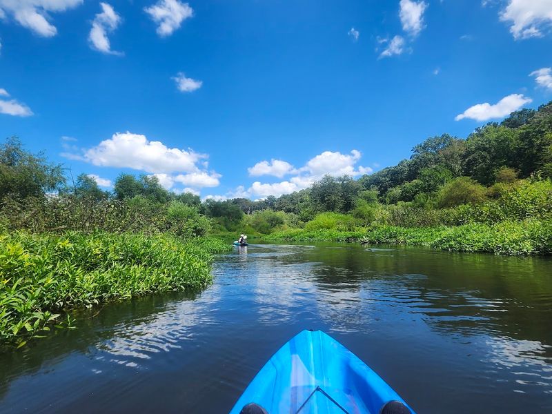 Paddling Through The Flooded Woods