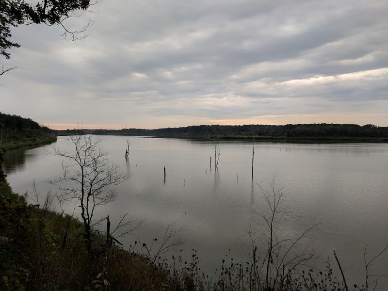 Paddling and Boating Without the Chaos