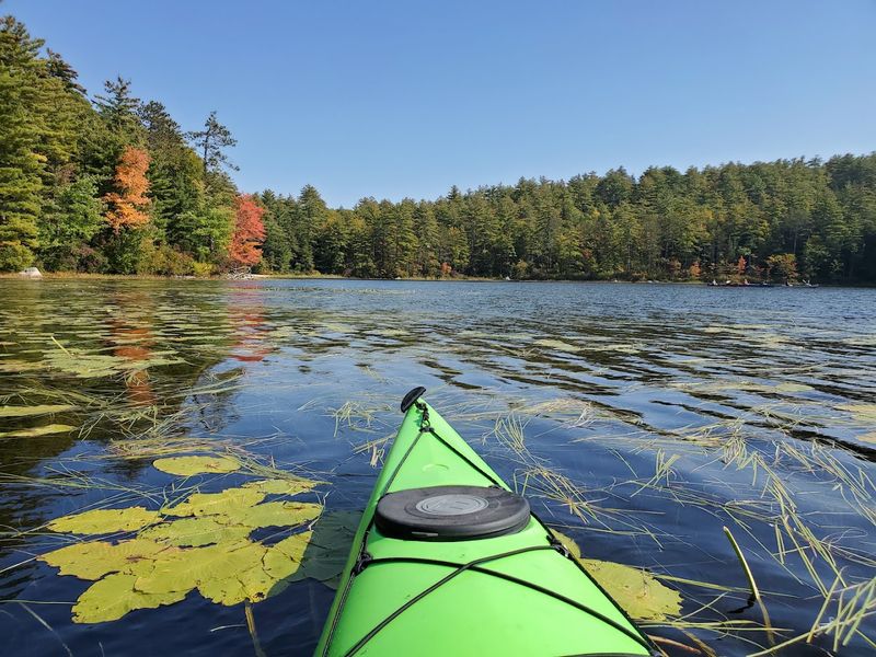 Paddling the Ponds at Your Own Pace