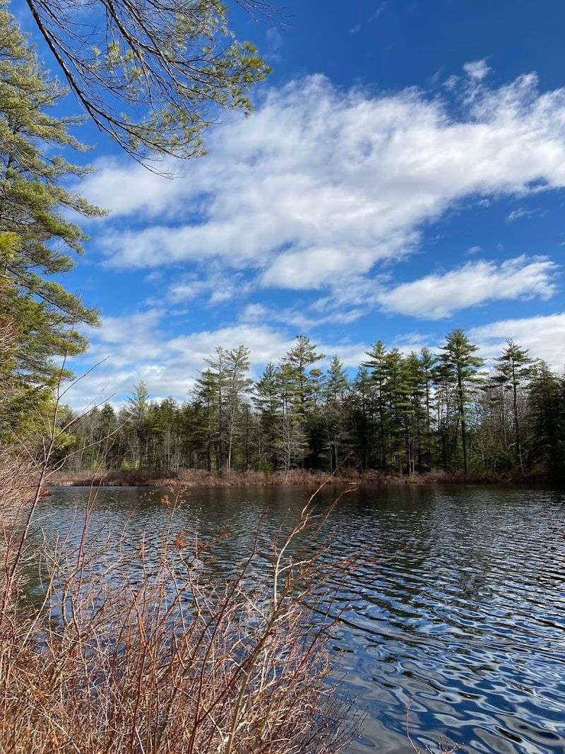 Page Pond Community Forest, Meredith