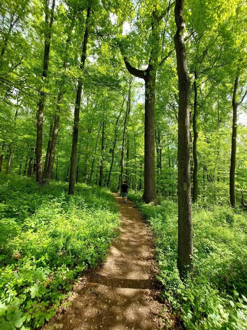 Palmer State Park
