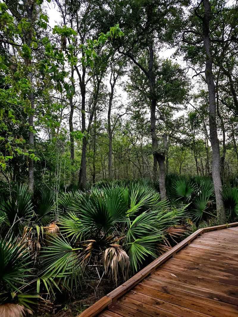 Palmetto State Park Palmetto State Park