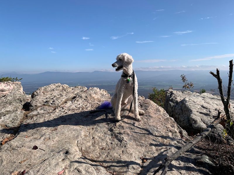 Panoramic Views That Stop You Cold