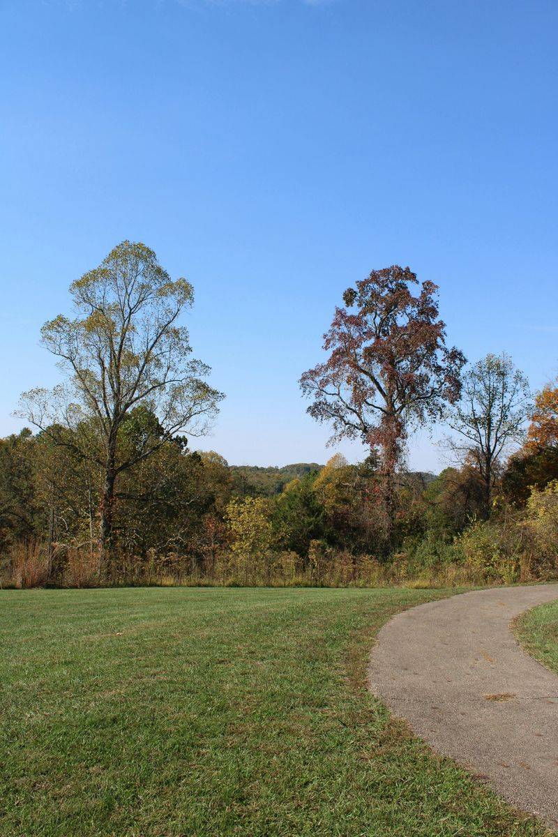 Parking Lots Replace Open Space
