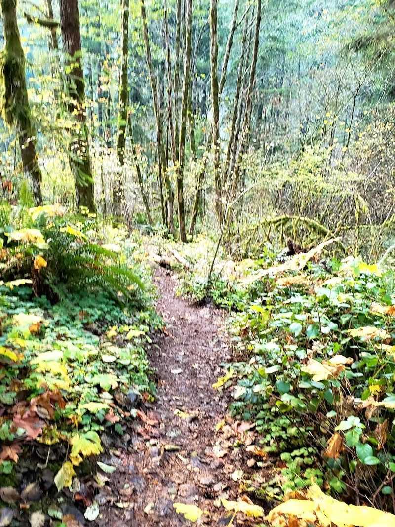 Parking Tips and Trailhead Navigation