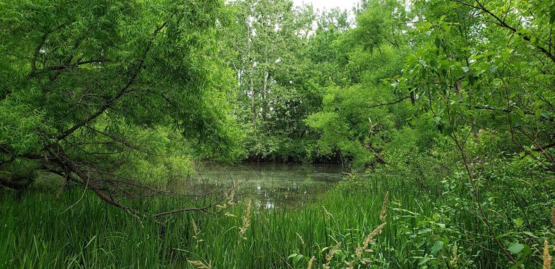 Parks and Green Space That Offer a Breather From All the Development Parks and Green Space That Offer a Breather From All the Development