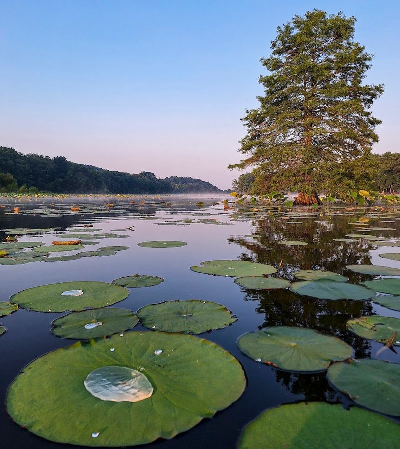 Peaceful Boating on a No-Wake Electric-Only Lake