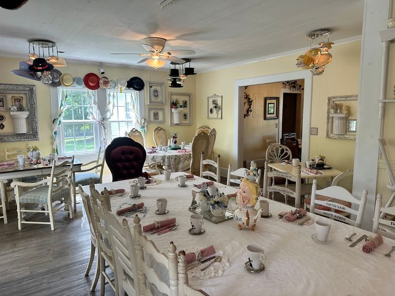 Unique Dining Rooms and Pet-Friendly Spaces