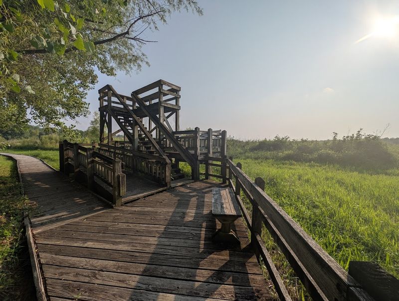 Pershing State Park - Laclede