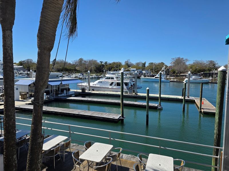 Pet-Friendly Dining With a Marina View Your Dog Will Love Too