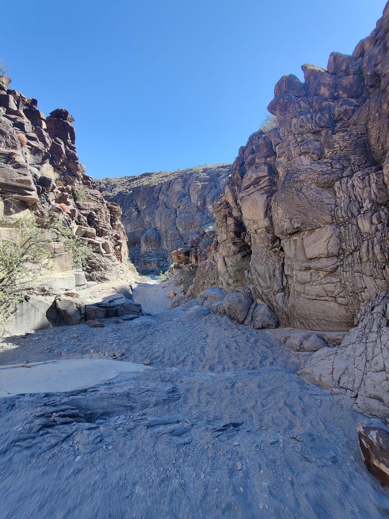 Petroglyph Canyon Trail