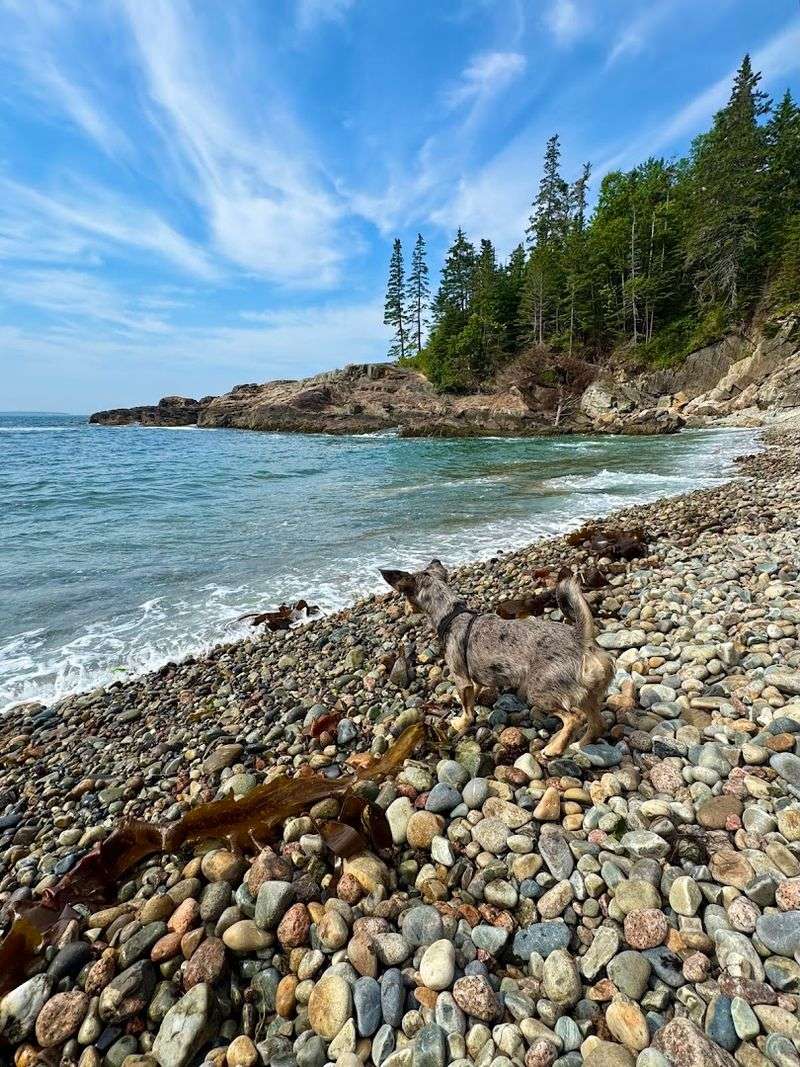 Photography and Painting en Plein Air