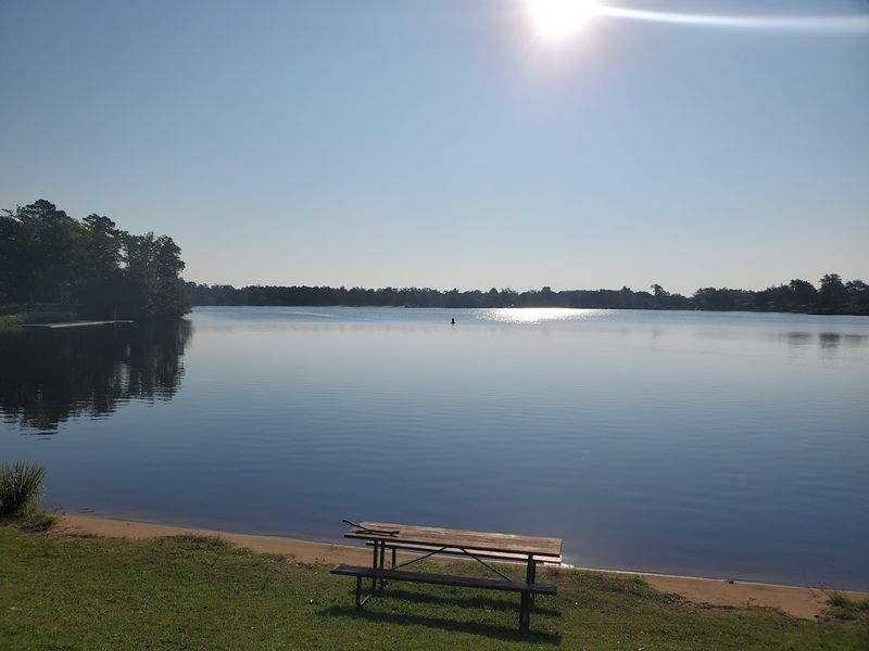Picnic Areas Where Lakeside Lunches Just Hit Different