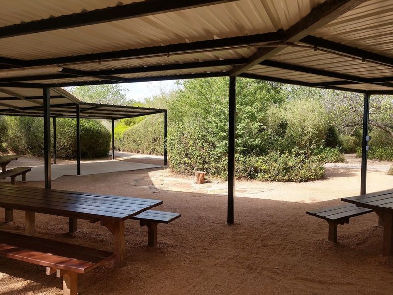 Picnic Areas and the Art of Slowing Down in a Nature Setting