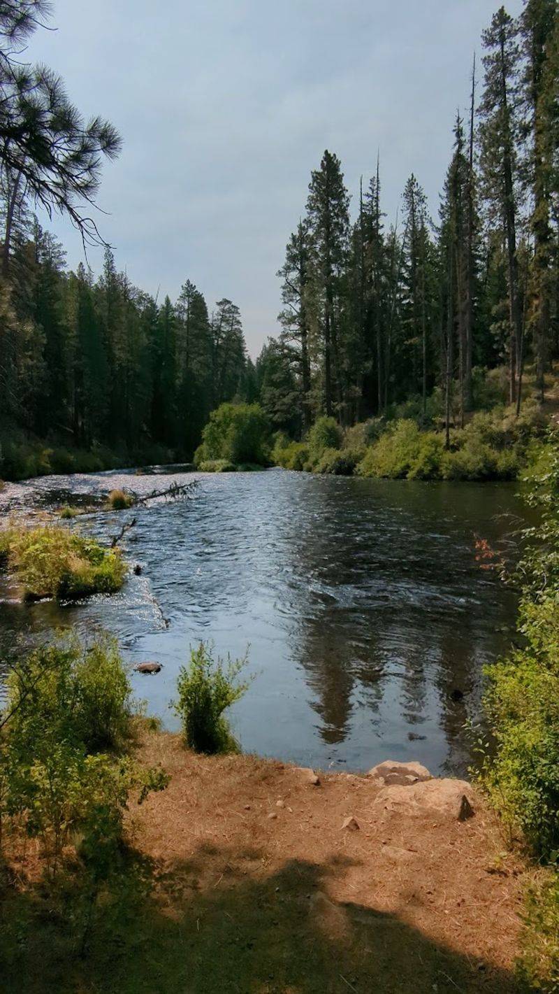 Picnicking By The River: The Best Spots To Rest