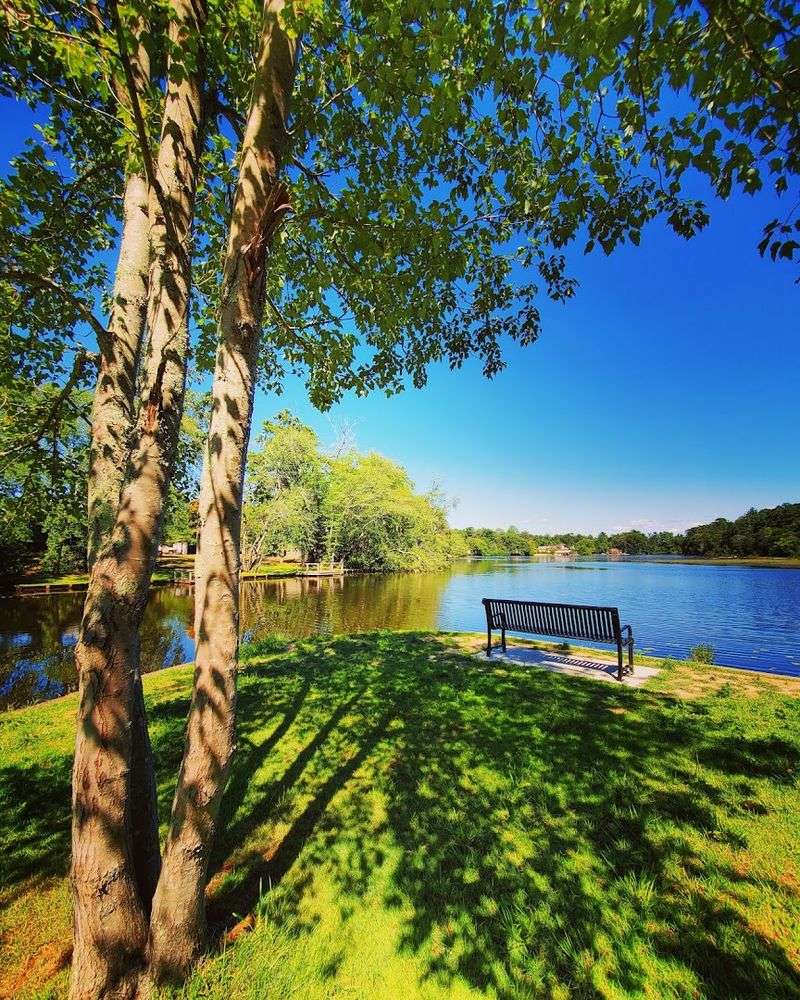 Pine Barrens Habitat Right at the Water's Edge
