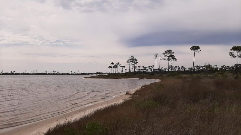 Pine Beach Trail (Bon Secour National Wildlife Refuge)