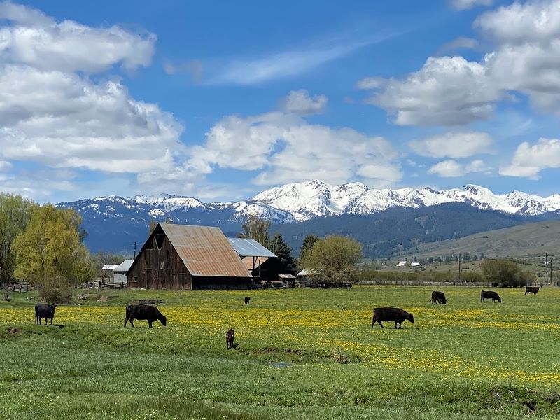 Pine Valley: The Hidden Bowl of Beauty Surrounding the Town