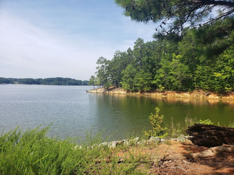 Plan Your Visit to This Virginia Gem