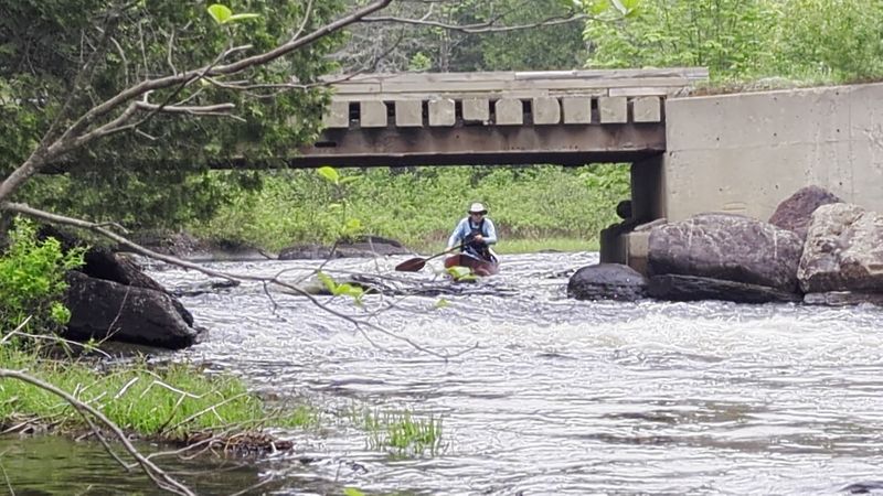 The Wildlife You Will Encounter Along The Waterway