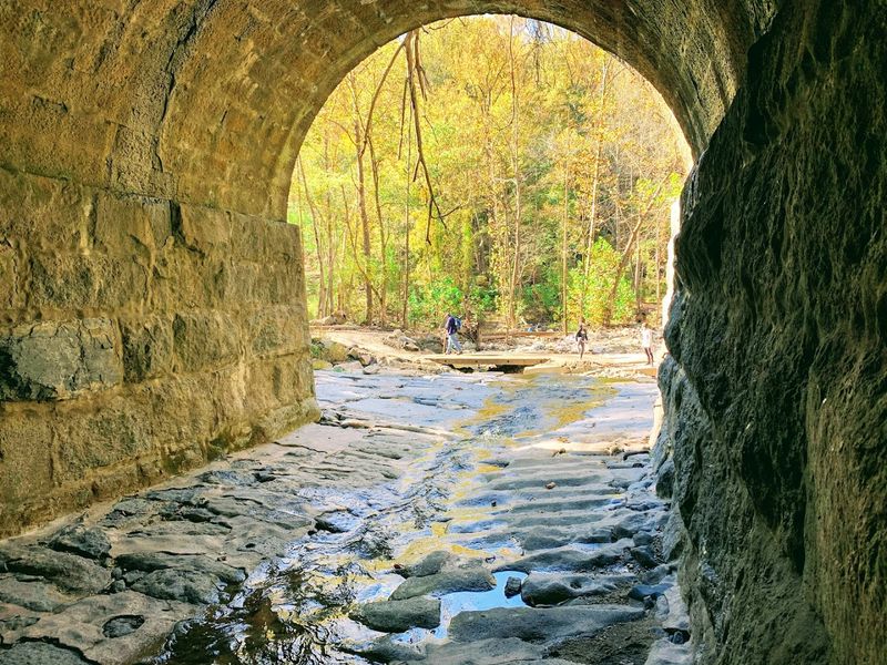 Planning Your Visit: Practical Tips for Getting the Most Out of the Park