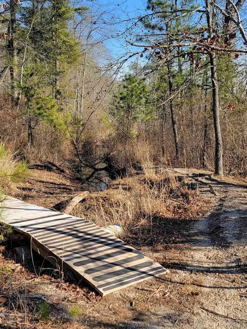 Planning Your Visit: Practical Tips for the Best Bunker Hill Bogs Experience