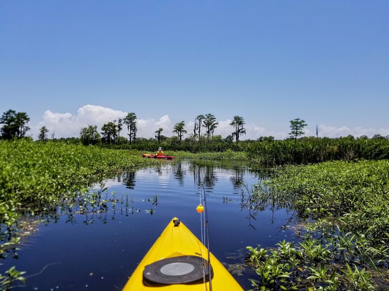 Planning Your Visit: What to Know Before You Go Planning Your Visit: What to Know Before You Go