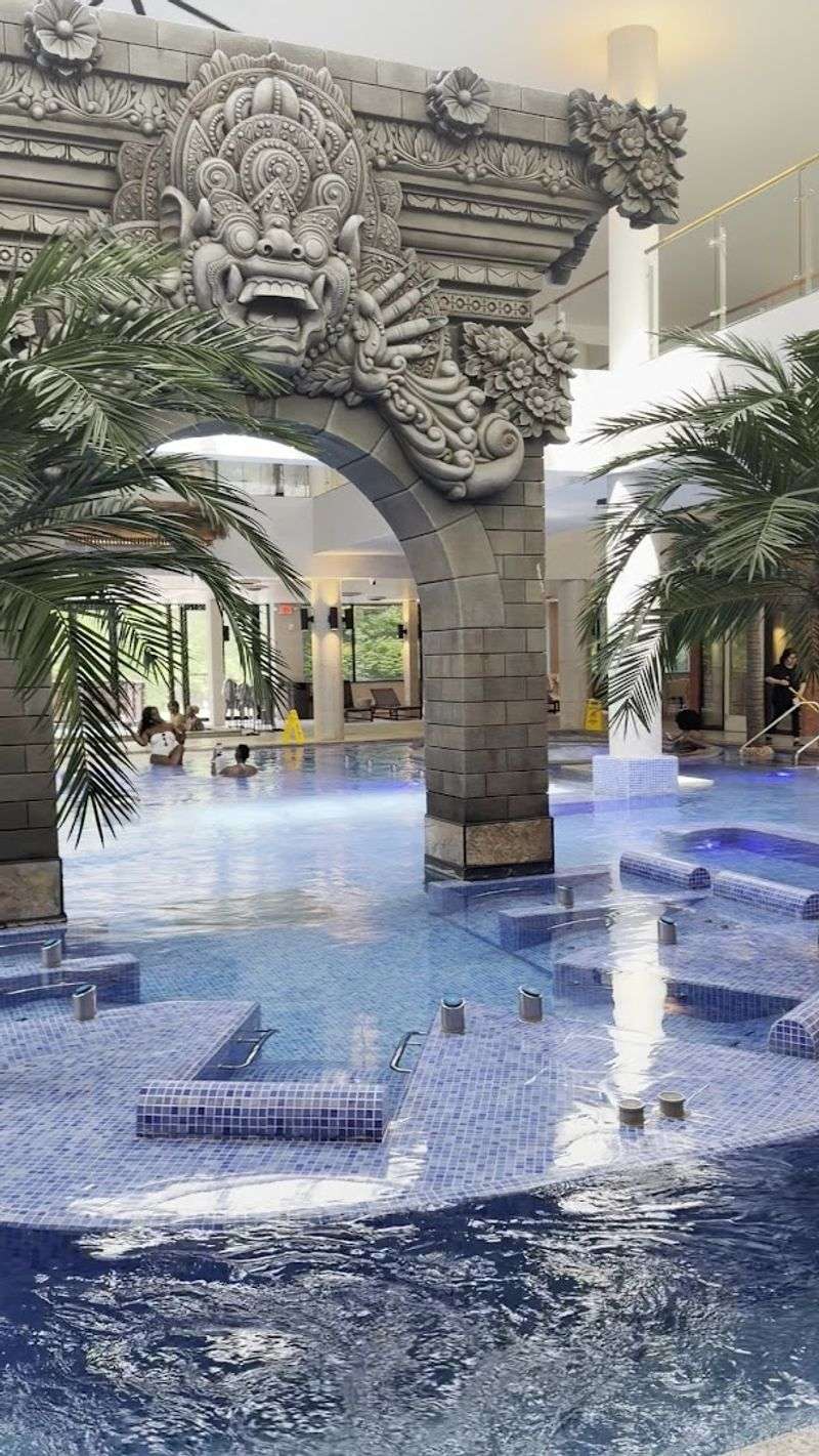 Planning Your Visit to Balian Springs in Alexandria Virginia