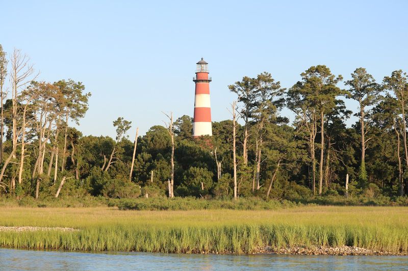 Planning Your Visit to Chincoteague National Wildlife Refuge Planning Your Visit to Chincoteague National Wildlife Refuge