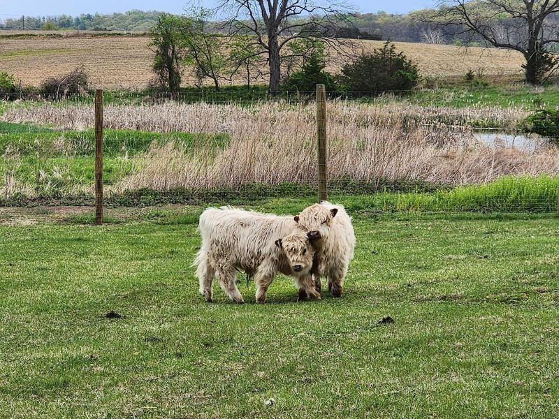 Planning Your Visit to Deer Run Hay Co & Cattle Planning Your Visit to Deer Run Hay Co & Cattle