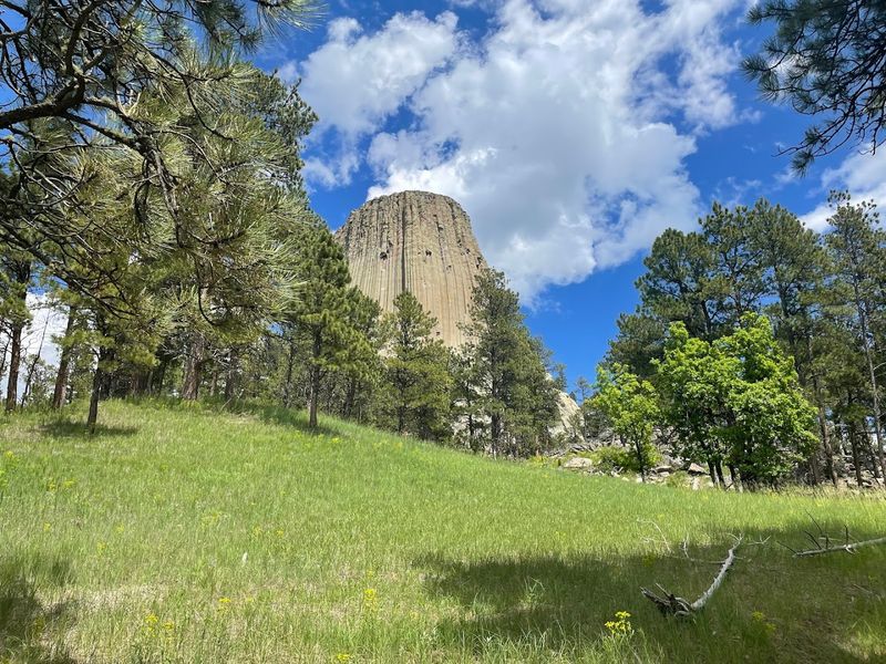 Planning Your Visit to Devils Tower National Monument