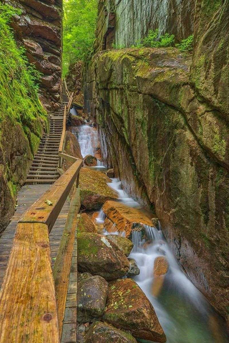 Planning Your Visit to Flume Gorge, Lincoln Like a Pro Planning Your Visit to Flume Gorge, Lincoln Like a Pro