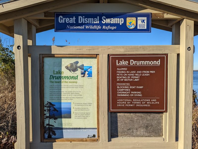 Planning Your Visit to Great Dismal Swamp National Wildlife Refuge