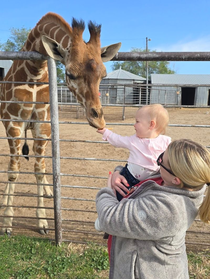 Planning Your Visit to Nickerson, Kansas
