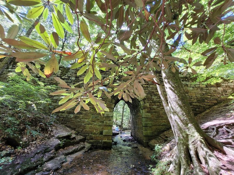 Planning Your Visit to Poinsett Bridge Heritage Preserve