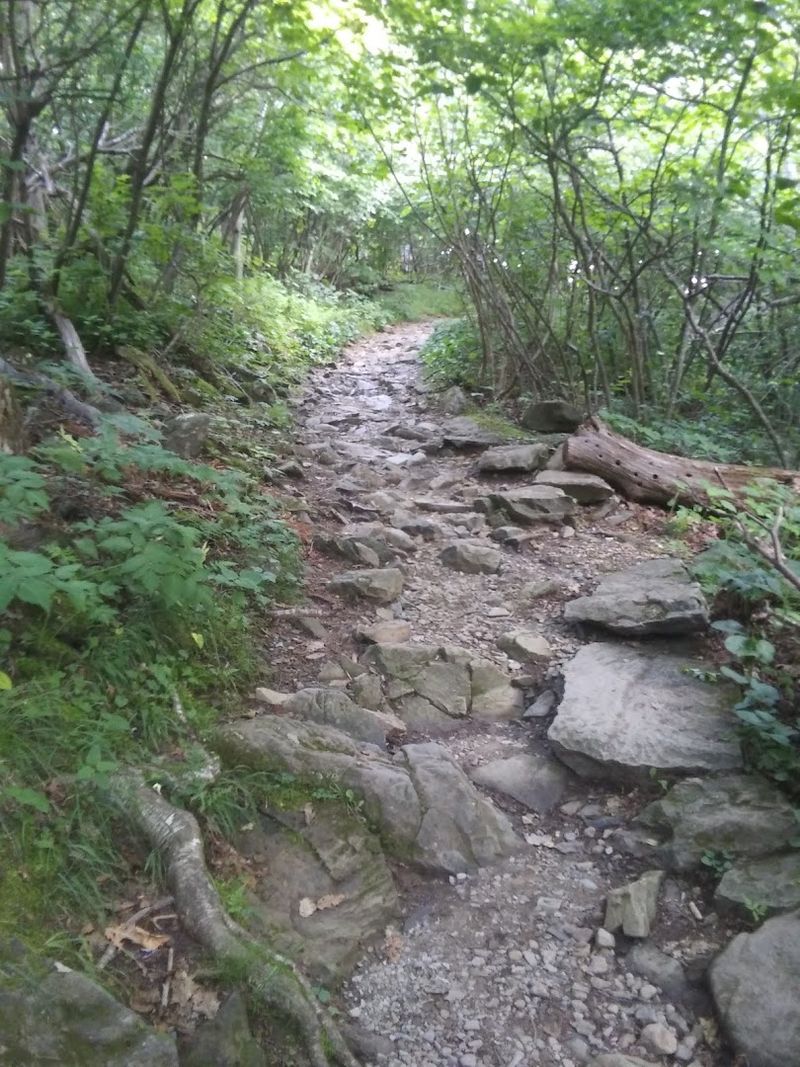 Planning Your Visit to Stony Man Mountain