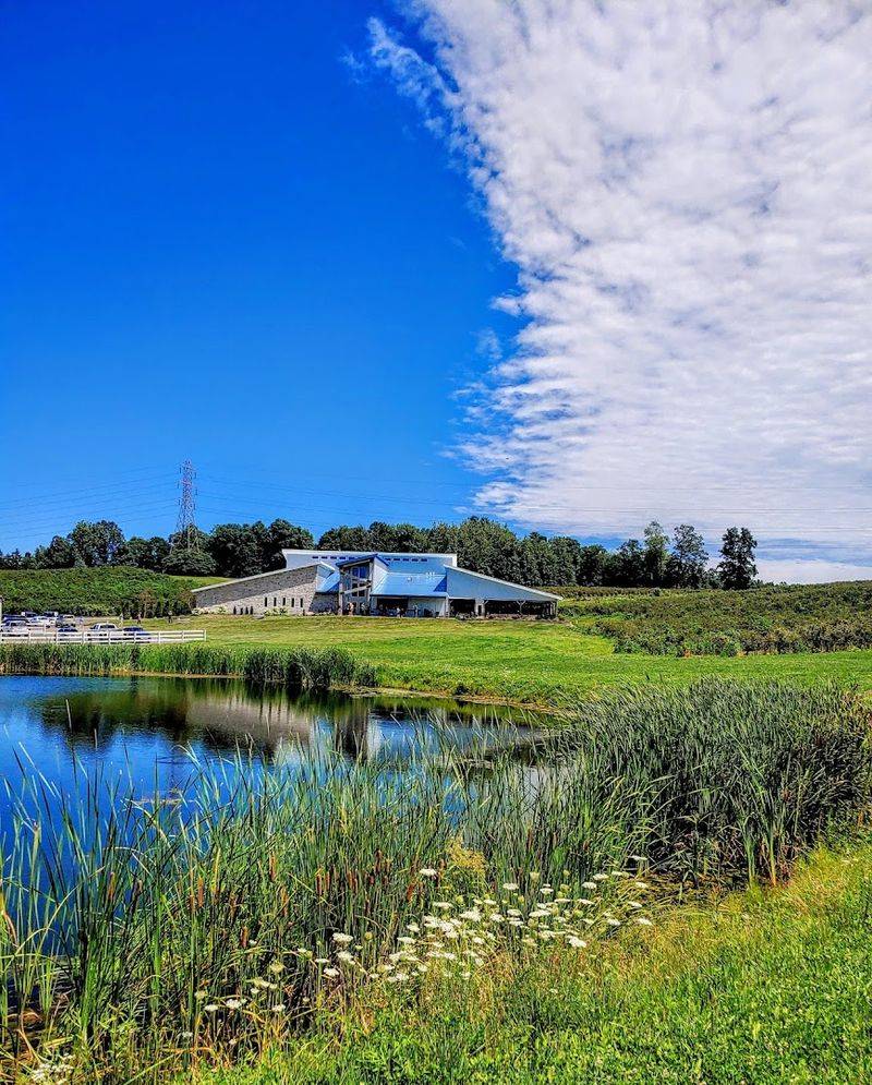 Planning Your Visit to the 37-Acre Farm
