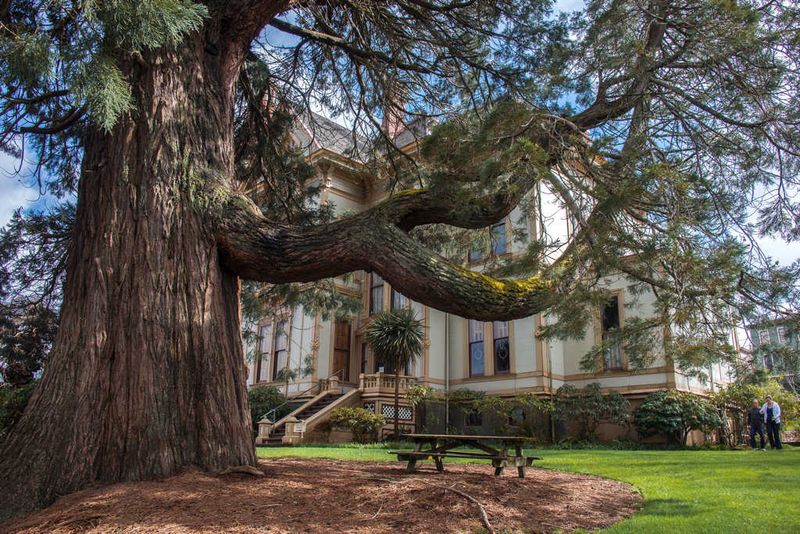 Planning Your Visit to the Flavel House Museum