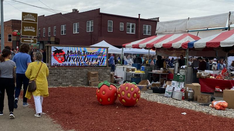 Planning Your Visit to the West Tennessee Strawberry Festival