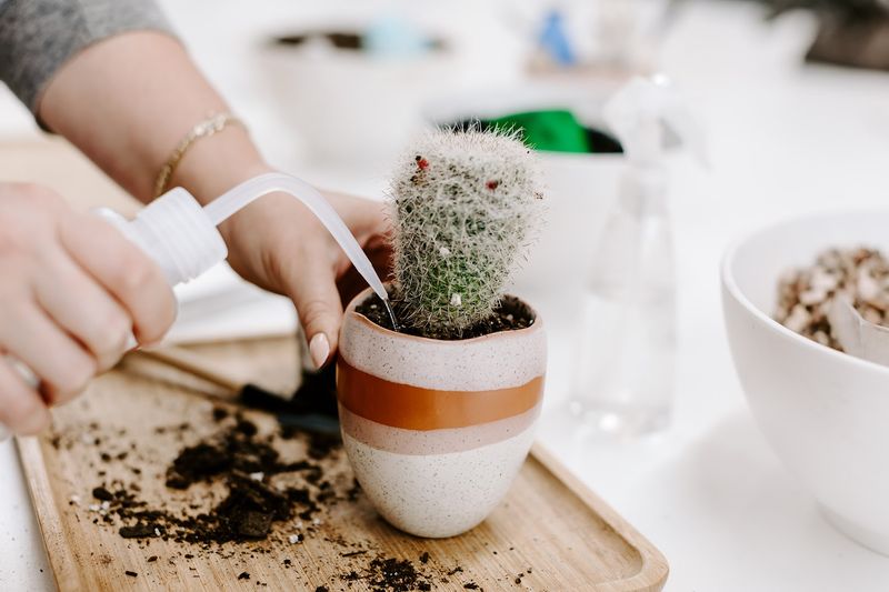 Plant Care Guidance Comes Standard