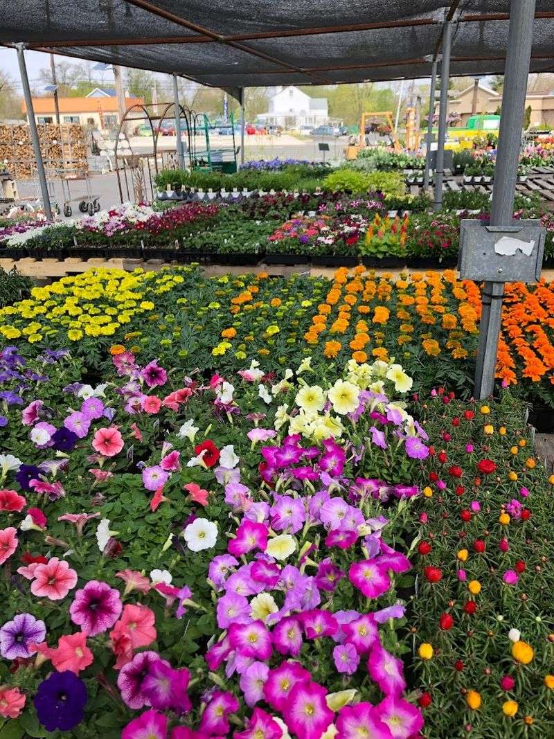 Plants as Far as You Can See