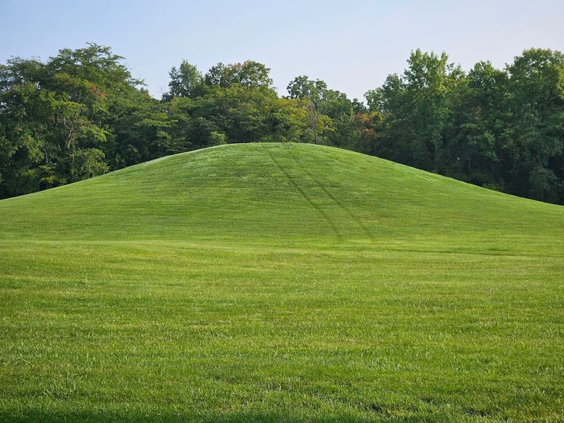 Playgrounds, Open Fields, and a Peaceful Atmosphere That Invites You to Stay