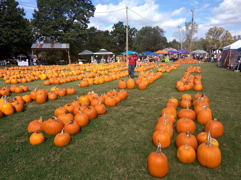 Pleasant Valley Farms, Sand Springs