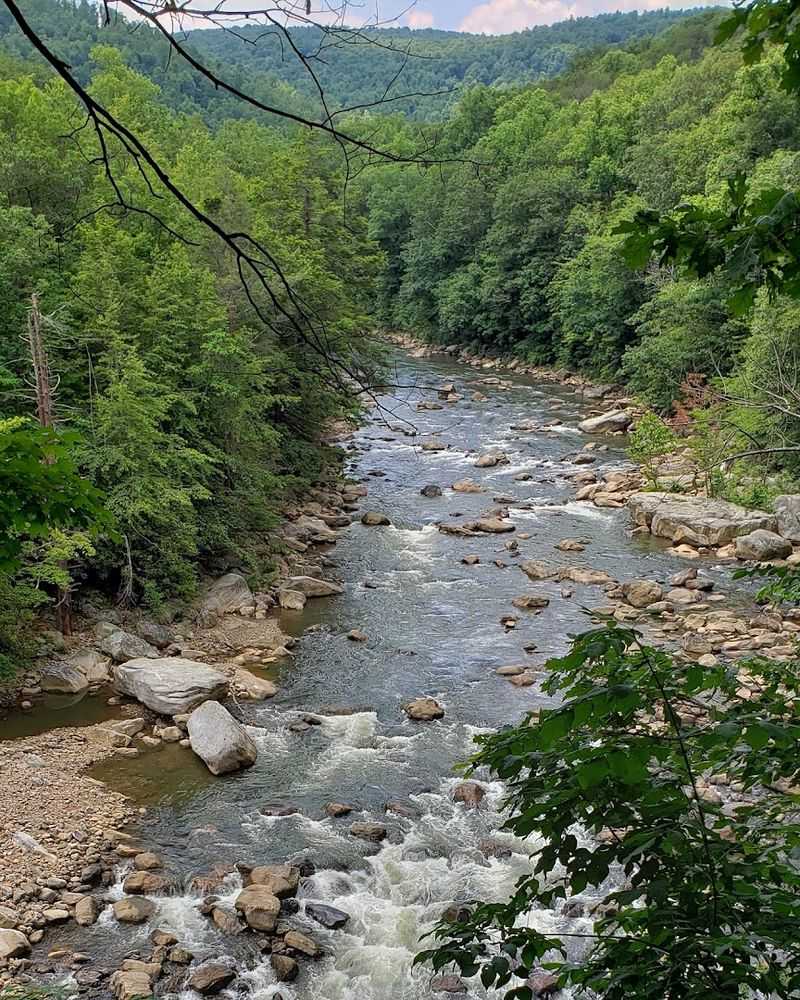 Potomac State Forest Potomac State Forest