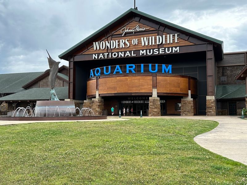 Practical Tips for Planning Your Visit