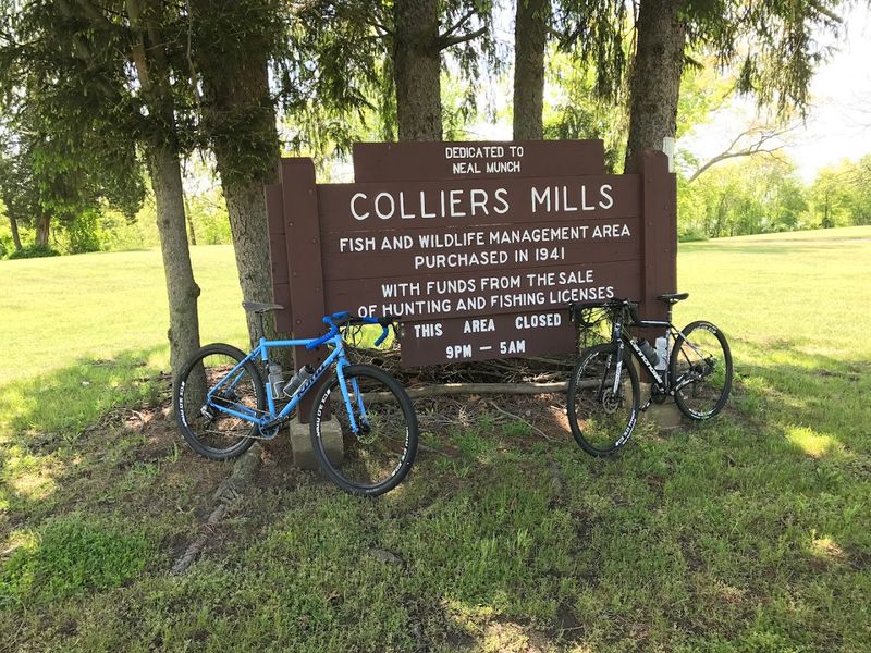 Practical Tips for Visiting Colliers Mills Wildlife Management Area
