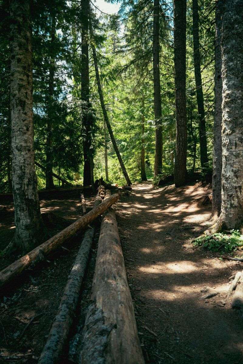 Practical Tips for Visiting Gifford Lake Without Getting Lost or Frustrated