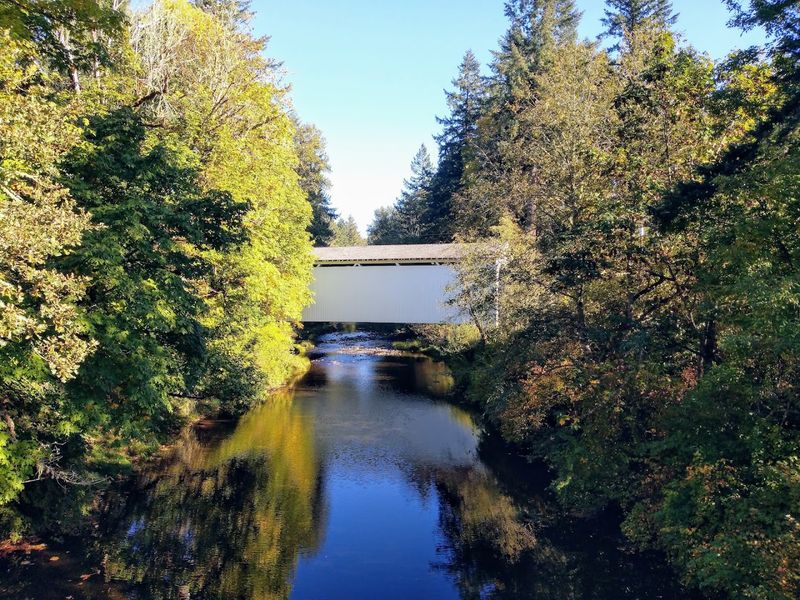 Practical Tips for Visiting Mosby Creek Bridge