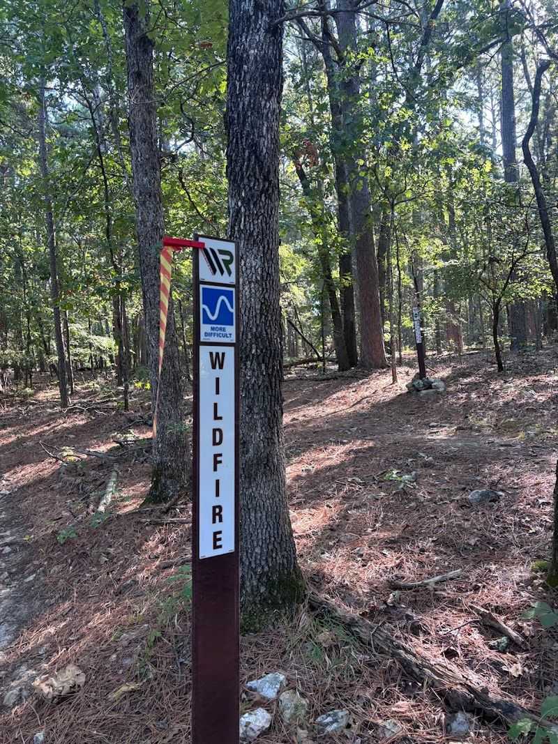 Why Welling Ridge Stays With You